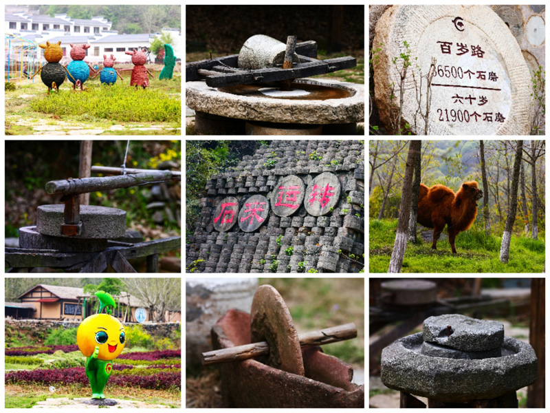 銀杏谷1.jpg 銀杏谷1.jpg