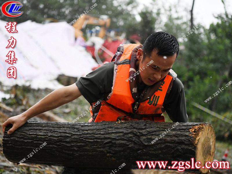 程力專用汽車股份有限公司 程力專用汽車股份有限公司
